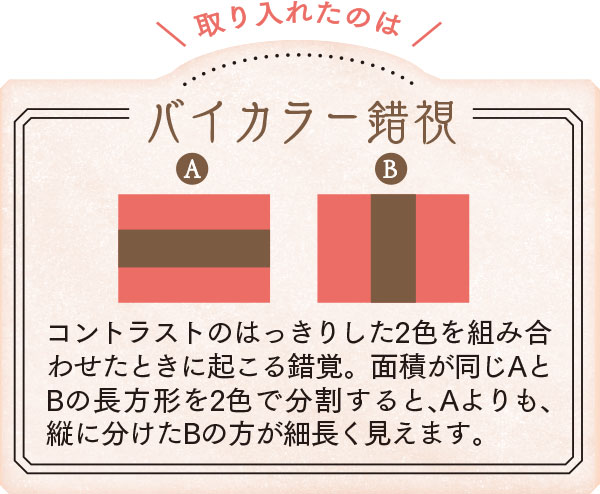 バイカラー錯視/コントラストのはっきりした2色を組み合わせたときに起こる錯覚。面積が同じAとBの長方形を2色で分割すると、Aよりも、縦に分けたBの方が細長く見えます。