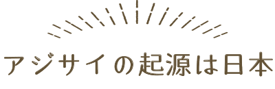 アジサイの起源は日本