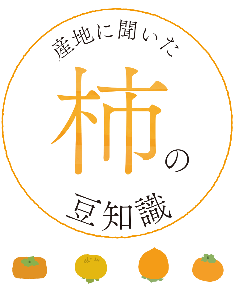 産地に聞いた 柿の豆知識