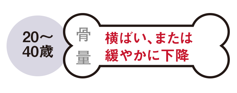 20～40歳　骨量-横ばい、または緩やかに下降