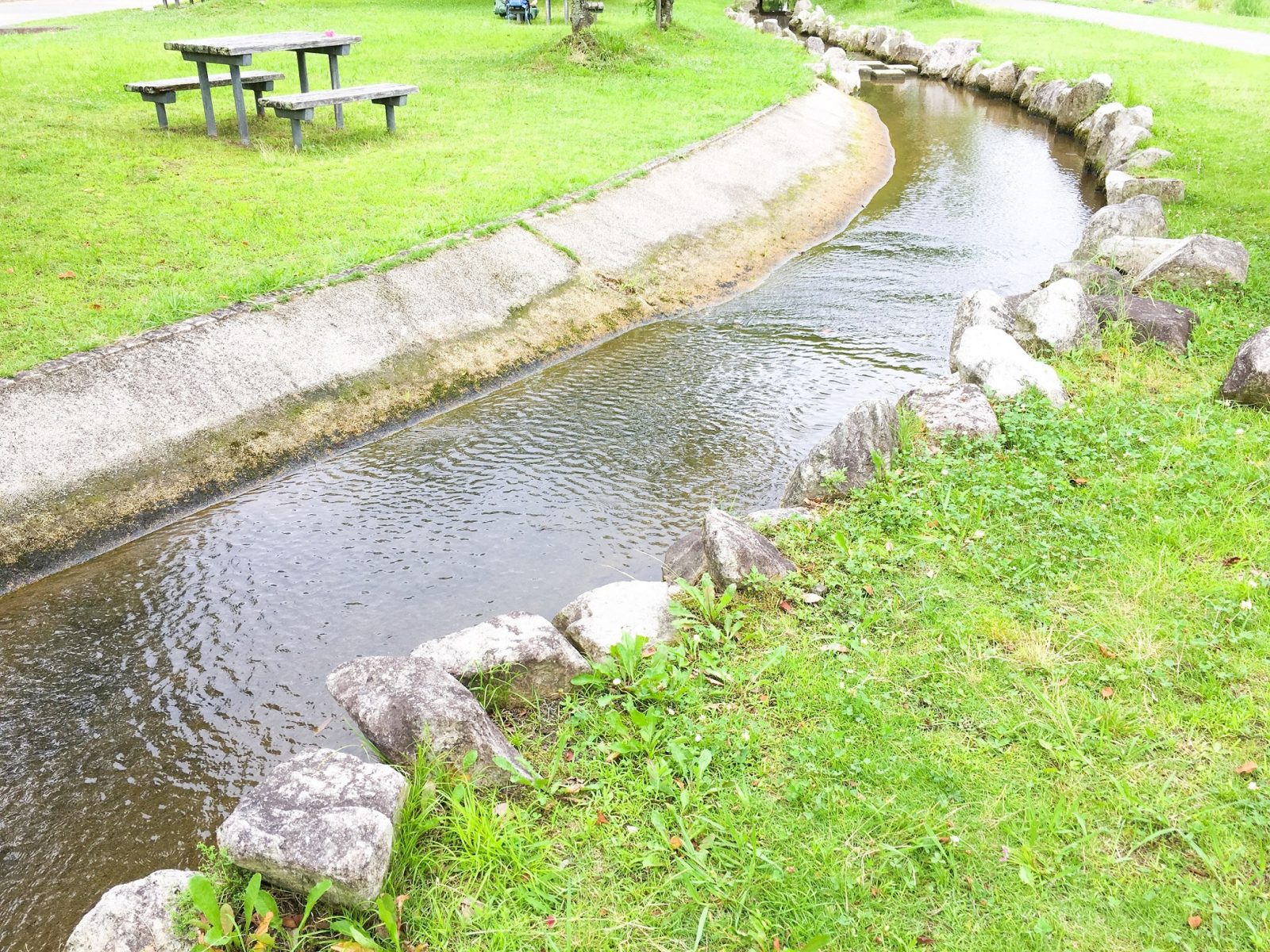川遊びと水生生物観察ができる和邇公園 大津市 リビング滋賀 女性のための総合生活情報紙
