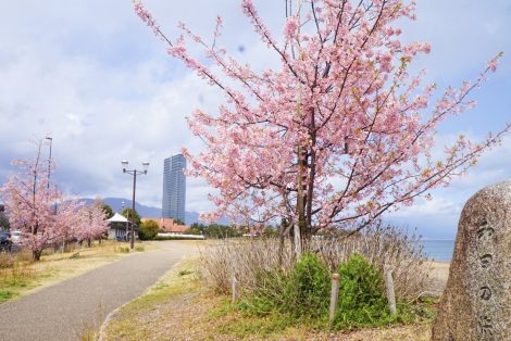 なぎさ 公園