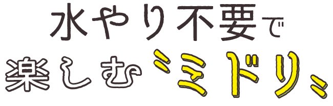 水やり不要で楽しむ〝ミドリ〟