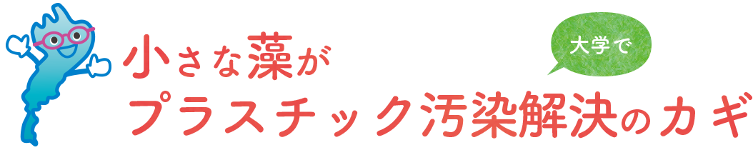 【大学で】小さな藻がプラスチック汚染解決のカギ