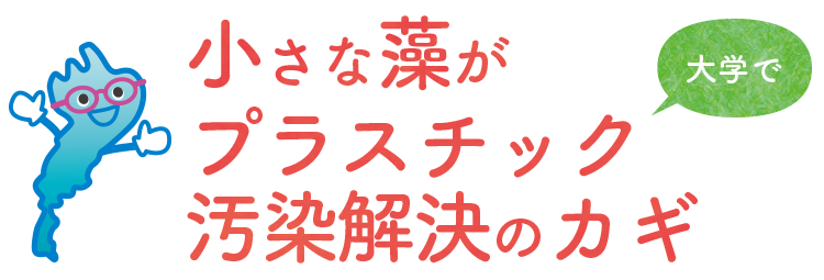 【大学で】小さな藻がプラスチック汚染解決のカギ