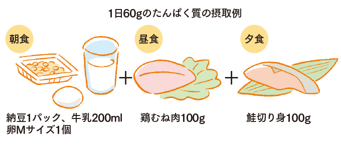 1日60gのたんぱく質の摂取例