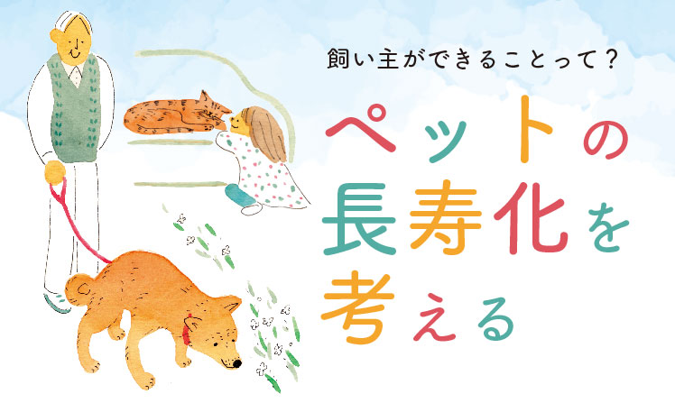 飼い主ができることって？ペットの長寿化を考える