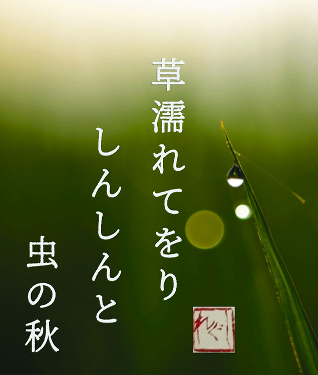 「草濡れてをりしんしんと虫の秋」しぐれ