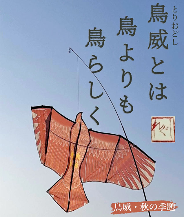 「鳥威とは鳥よりも鳥らしく」しぐれ