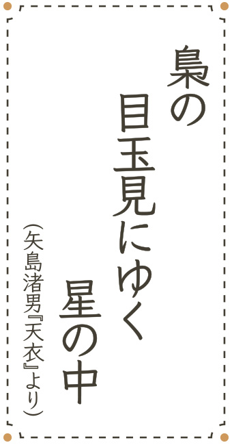 梟の　目玉見にゆく　星の中（矢島渚男『天衣』より）