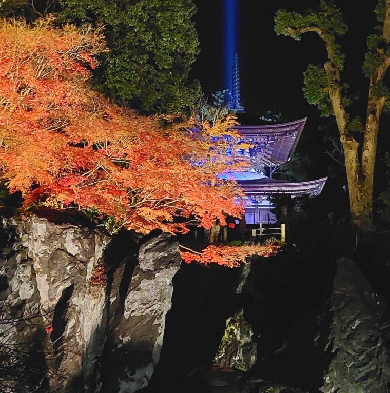 石山 雨の日のお出かけ 石山寺で紅葉ライトアップ コラム リビング滋賀 女性のための総合生活情報紙