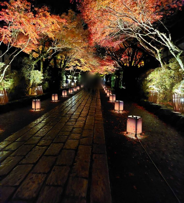 石山 雨の日のお出かけ 石山寺で紅葉ライトアップ コラム リビング滋賀 女性のための総合生活情報紙