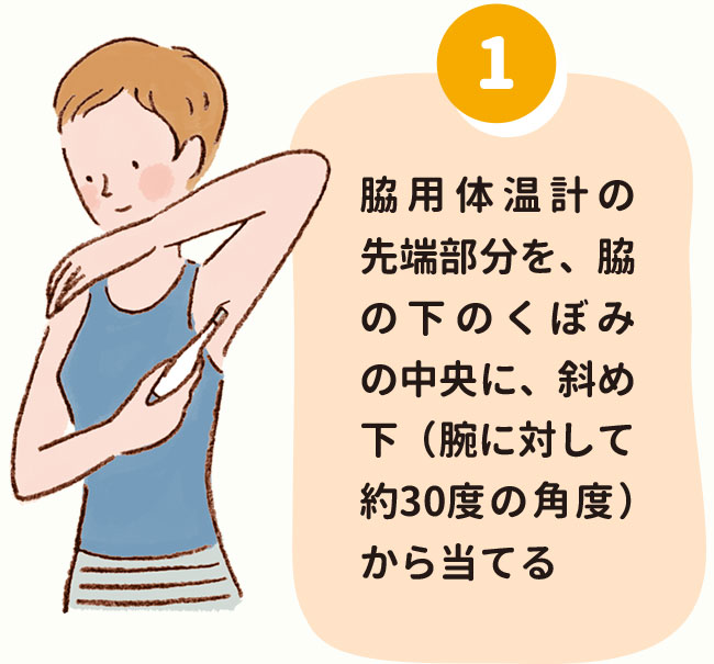 1.脇用体温計の先端部分を、脇の下のくぼみの中央に、斜め下（腕に対して約30度の角度）から当てる