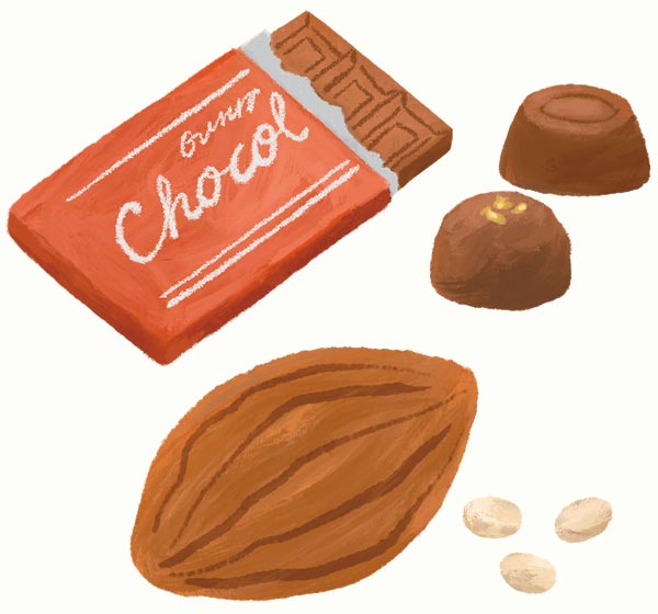 チョコレート・発酵食品