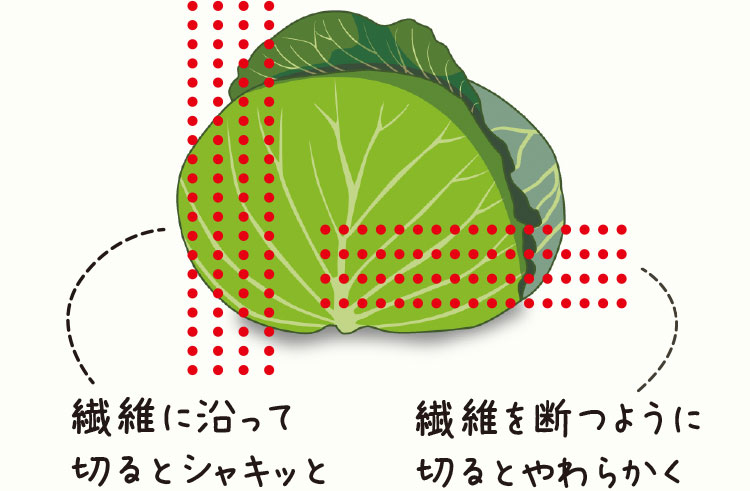 キャベツの切り方